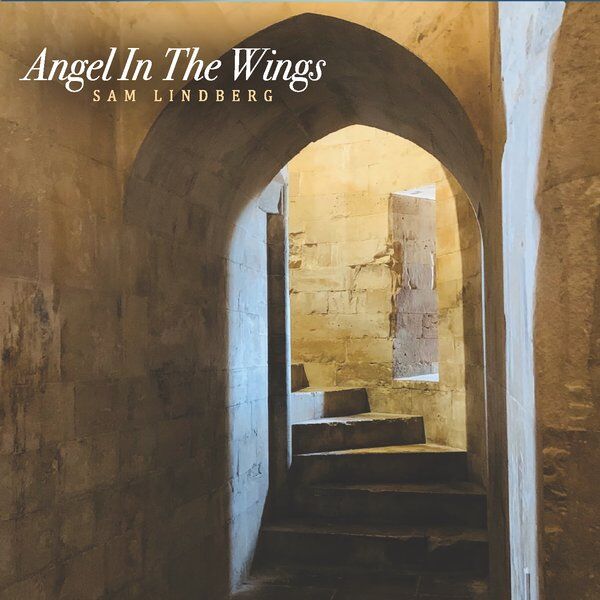 Cover art for Angel in the Wings